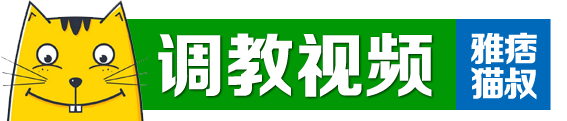 调教视频|雅痞猫叔