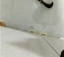 【南歌大大】皮鞋白丝诱惑变装女仆/狗链遛狗 JS240814-16