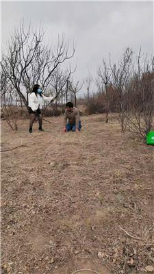 【沐颜】野外-骑马狗爬/重度鞭打【双视角版】JS250112-19