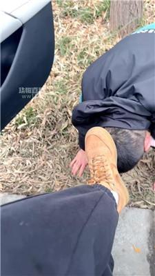 【短发】户外逗狗专场 JS260128-8