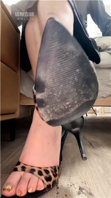 【咬猫】绿帽包J废物    260214-15