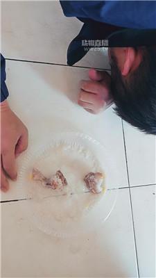 【楚楚】骑着狗背真舒服 JS260217-2