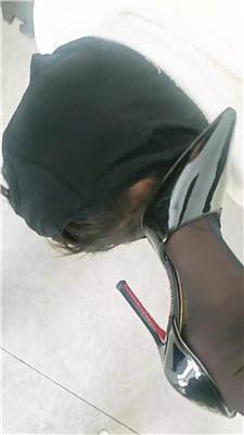 【淘淘】双S-脚下喂食圈养狗 JS260312-21