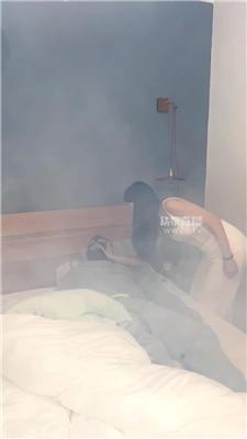 【也狗】狗子做梦被女王虐 JS260324-32