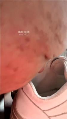 【开发】办公室内调老板狗 JS260328-30