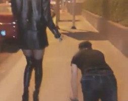 【VIVI】超刺激！午夜遛人形犬