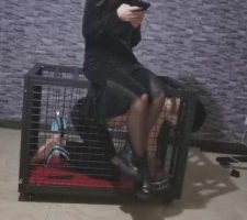 【夏夏绳缚】狗笼捆绑圈养