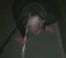 【樱桃大大】一场说走就走的遛狗 bf8426