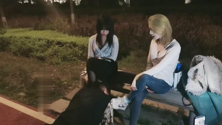 【紫烟】双S户外玩狗狗【双视角版】 bf9006