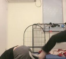 【安静大大】双奴被母女S刑虐【双视角版】  JS22102509