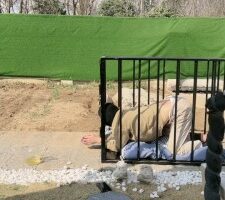 【沅芷大人】15小时囚禁后上刑/圣水/鞭打 bf25577