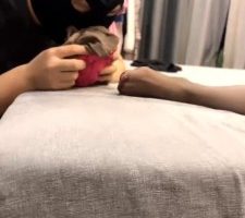 【梓夫人】继母惩罚偷原味的狗儿子 bf29553