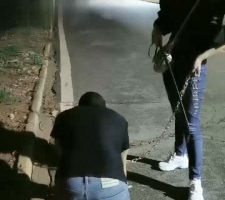 【朱迪】双S户外遛狗散步【双视角版】 bf33283