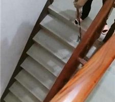 【广东迪迪】圈养家务奴【双视角版】 JS231128-10