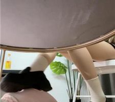 【狗哥】桌底视角-皮鞋白袜气味控制 bf36195