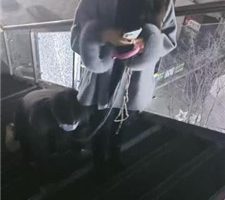 【昭玥】深夜户外-牵狗链遛狗爬行-骑马转胯-踩踏 bf36503