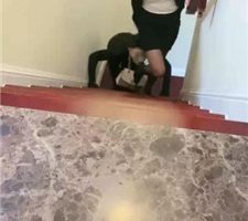 【高傲】情侣奴-遛狗爬楼梯/转胯/强迫圣水 bf37213