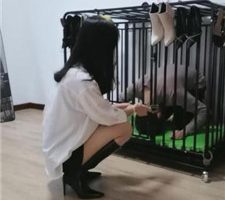 【凌儿】狗笼圈养囚禁生活 bf37685