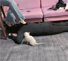 【冰诺】超细高跟全体重踩踏/骑狗脖 bf38722