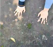 【半糖】户外狗爬遛狗/运动鞋踩/树枝鞭打【完整版】 JS240411-3