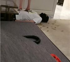 【瑾玥】双S-裸足蹂躏踩脚垫【双视角版】 JS240510-16