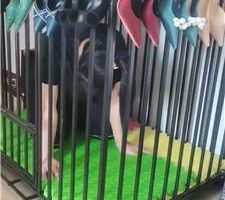 【凌儿女神】狗笼囚禁母畜/高跟裸足玩虐/跪求圣水 bf41974