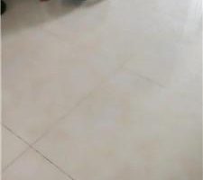 【灵汐】老狗跪求圣水 JS240901-27