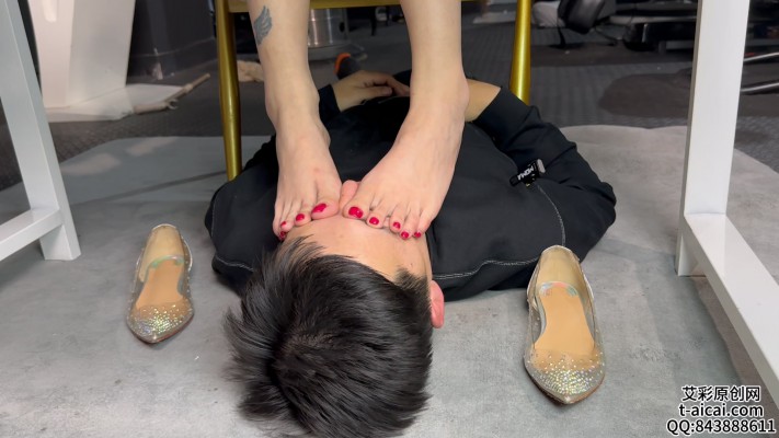 办工桌下面的世界 JS240923-2