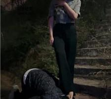 【白鹭】户外彻底驯化跟踪狂 bf45698