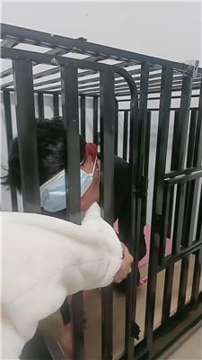 【薇薇情侣主】强制狗笼圈养奴隶【上】 JS250112-11