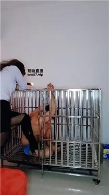 【纱月桃】囚禁狗笼强制虐 JS250328-35