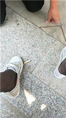 【魅影】户外遛狗训化家奴 JS250523-27