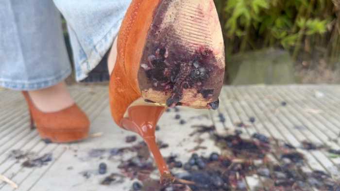 【大美】鱼嘴细高跟爆汁蓝莓 YC-250731-2