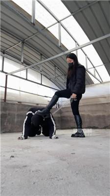 【77夫妻】人形犬训化场地 JS251106-3