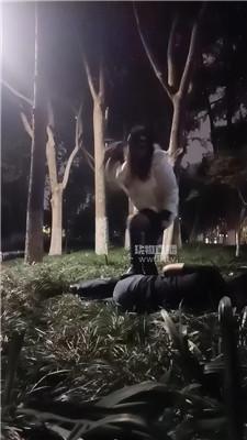 【刑狗】户外公开训野狗 JS251124-45