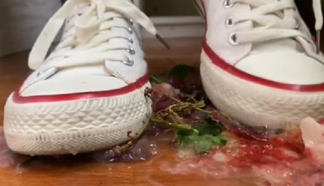 匡威制作狗粮 JS260110~6