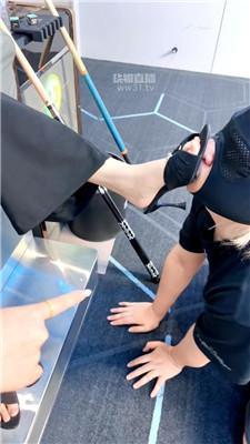 【猫猫】带狗开发台球助教【双视角版】 JS260413-14